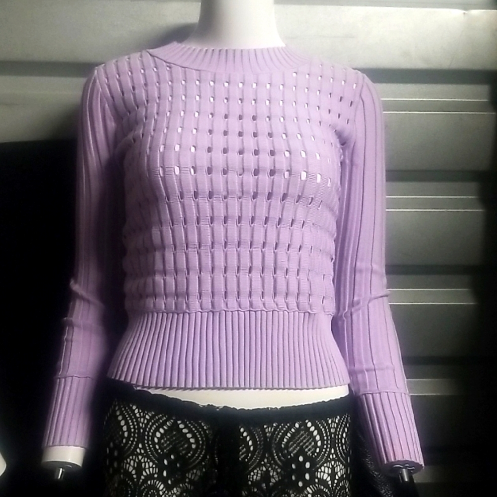 Club Monaco purple womens long sleeve top